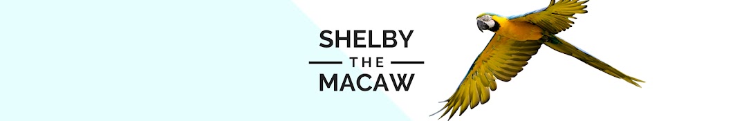 Shelby The Macaw