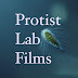 logo Protist Lab Films