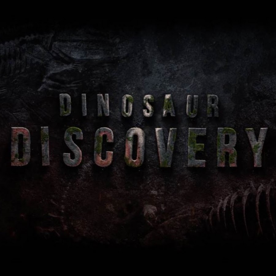 Dinosaur Discovery 