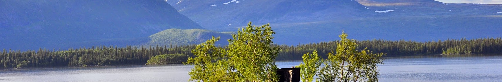 bernepersson