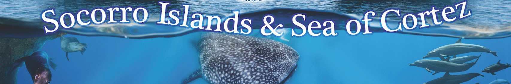 mexicoliveaboards9597
