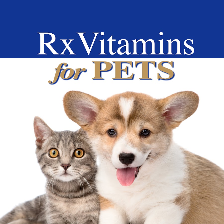 Rx biotic by rx vitamins for pets sale