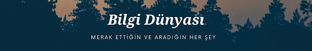 BİLGİ DÜNYASI