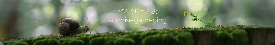 どんぐりさんのsurprise gardening Banner