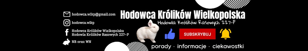 Hodowca Królików Wielkopolska