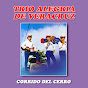 Trio Alegria De Veracruz - Topic