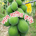 লাল মাটির কৃষি