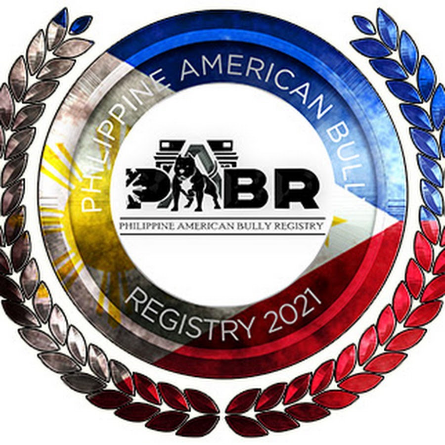 American 2024 bully registry