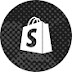 logo Shopify Academy