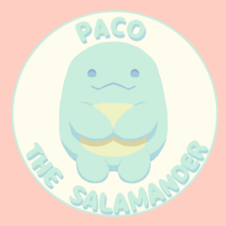 Paco the salamander