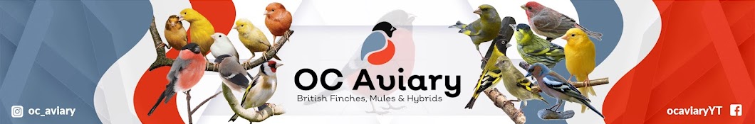 OC Aviary Banner