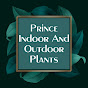 Prince Indoor And Outdoor Plants