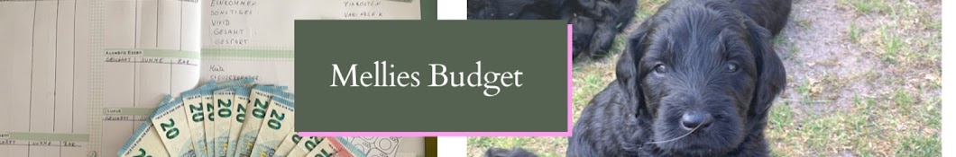 Mellies Budget