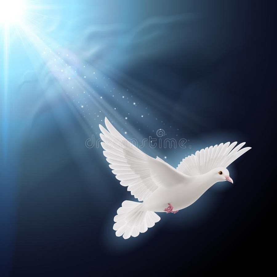 Белый голубь Благовещение
