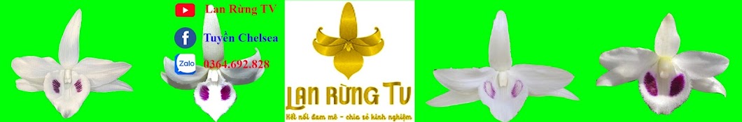 Lan Rừng TV