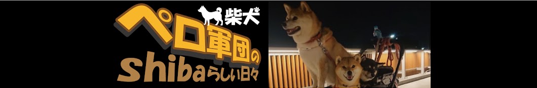 柴犬ペロ軍団のshibaらしい日々