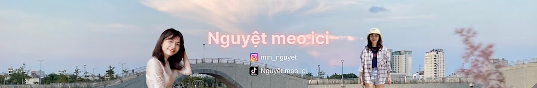 Nguyệt meo ici