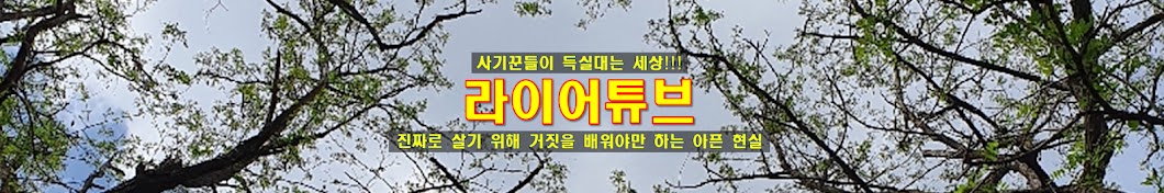 라이어튜브