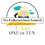 The Endometriosis Summit