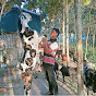 Ansuma Boro : The Goat Man (Bodoland) 