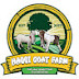 HAQQI GOAT FARM