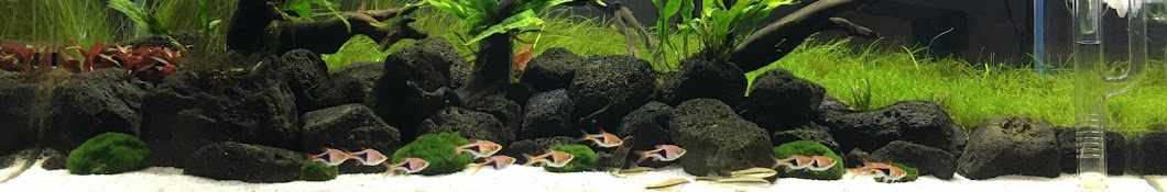 PT AQUASCAPING