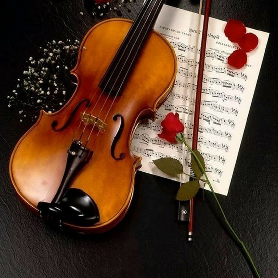 Беаутифул Виолин. Всемирный день скрипки. Красивая скрипка. Классические музыкальные инструменты. Скрипка без слов слушать