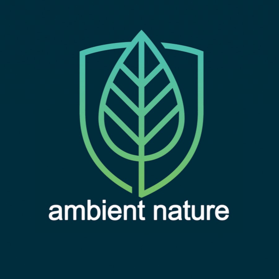 Ambient Nature - YouTube Ambient Nature
