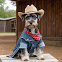 schnauzernavigator