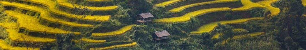 Lý Thị Cam