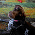 Poppy GSP