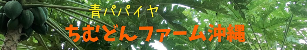 【青パパイヤ】ちむどんファーム沖縄の記録