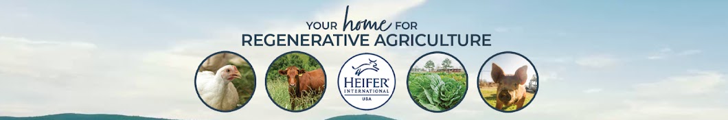 Heifer USA Banner