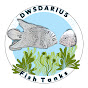 DWSDARIUS FISH TANKS
