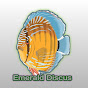 emerald discus