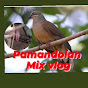 Pamandolan Mix Vlog