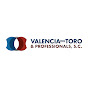 VALENCIA DEL TORO & PROFESSIONALS