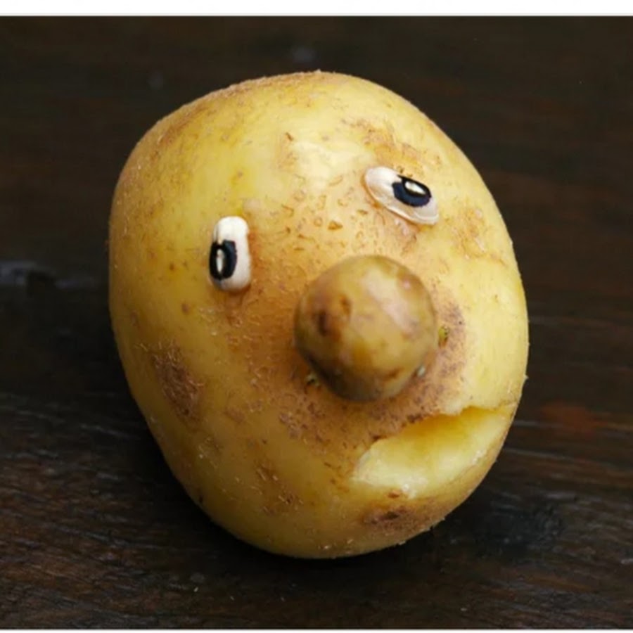 Веселая картошечка. Живая картошка. Глазки картофеля. Картошка с глазками. Смешная картошка.