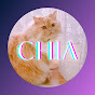 Chia Tarot Diaries