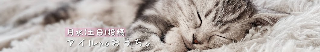 お出迎え猫🐈アイルnoおうち。