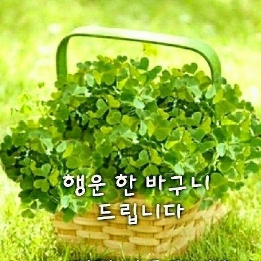 하늘영샘 - YouTube 하늘영샘