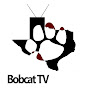 Bobcat Television