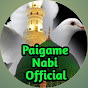 Paigame Nabi Official