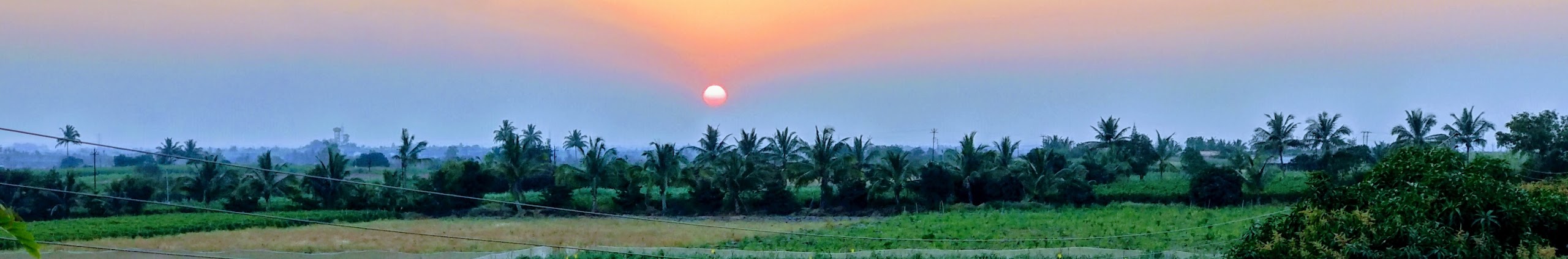 Sangli Cuisine