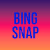 logo BingSnap