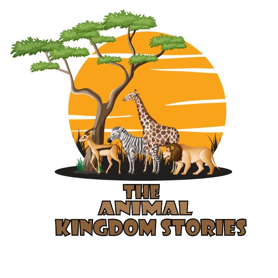 The Animal Kingdom Stories - YouTube