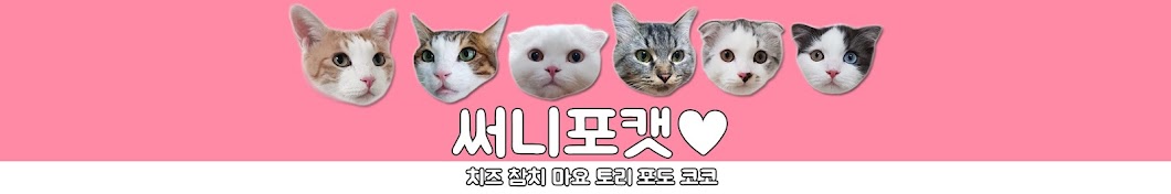 써니포캣 sunny4cats Banner