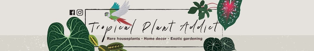 Tropical Plant Addict Banner