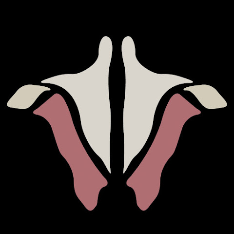 theanatomylab