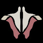 Institute of Human Anatomy youtube avatar